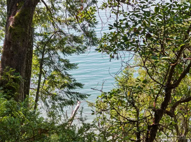 Trail takes you right to the beach but will need stairs or ladder to access beach due to 15' drop-off.