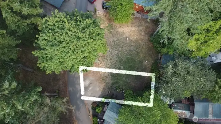5 SPRUCE