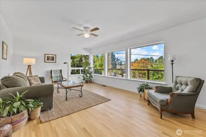Living room with natural light