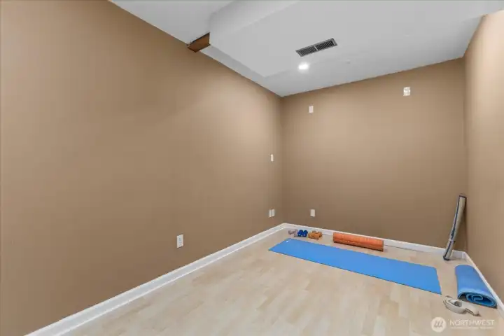 Bonus room is huge