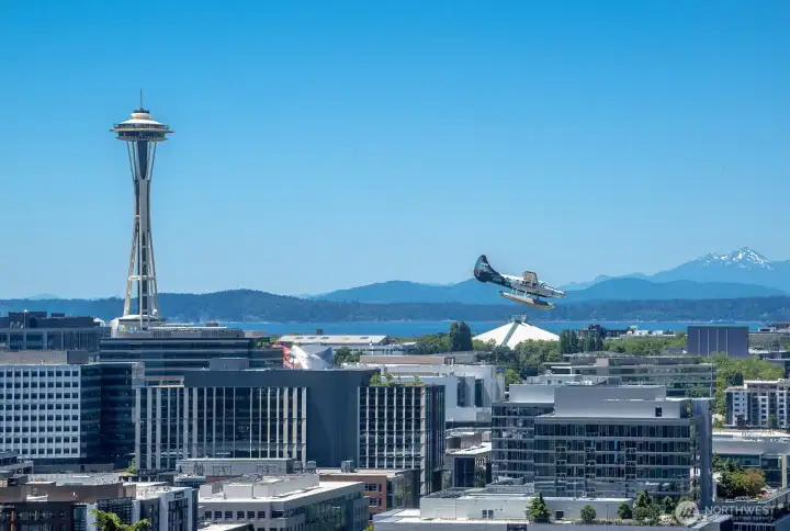 Quintessential Seattle view of float plane landing from the privater deck.