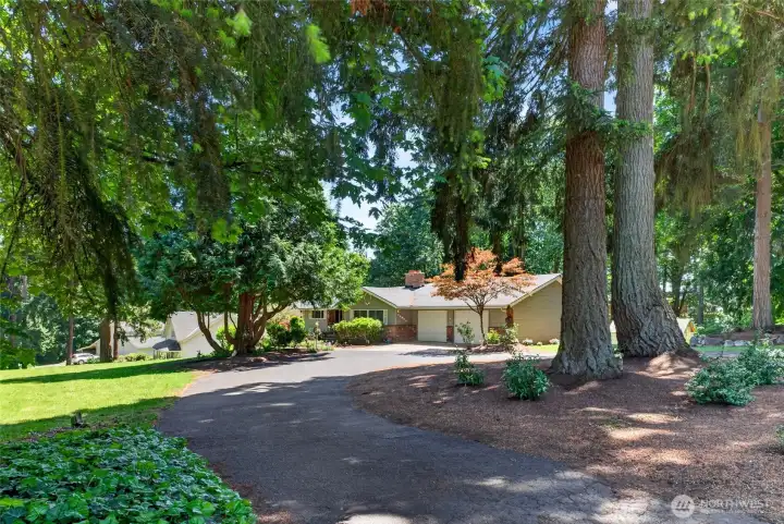A circular driveway and beautifully landscaped yard create a warm and inviting welcome. A circular driveway and beautifully landscaped yard create a warm and inviting welcome.