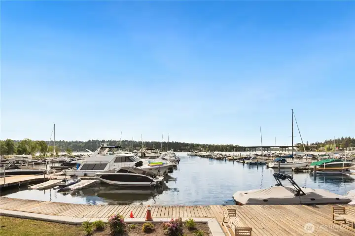 Newport Yacht Club Marina