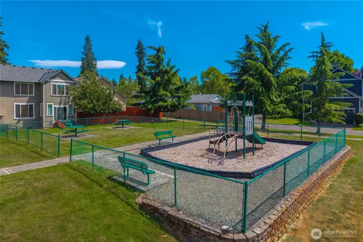 Playground Playground