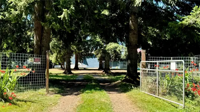 Driveway and Gate from the street side.