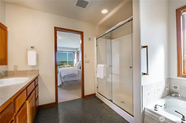 Spa like Ensuite with double sinks, soaker tub, shower and walk-in closet