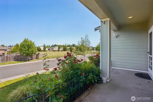 View of majestic Mt Rainier from your porch!