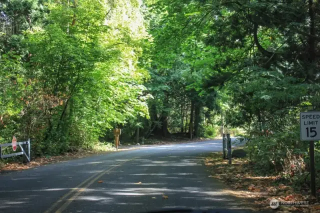 Enjoy a stroll through the park!
