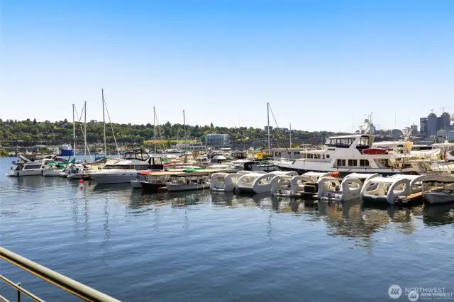 Lifestyle Alert! Wrap up work for the day, walk 3mins down to the waterfront, rent a boat for the evening and watch the sunset in South Lake Union!