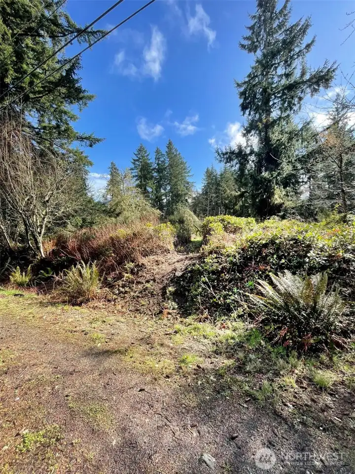 Entrance to the property off of Bank Road. Trail runs through the entire lot, passing through meadow and forest.