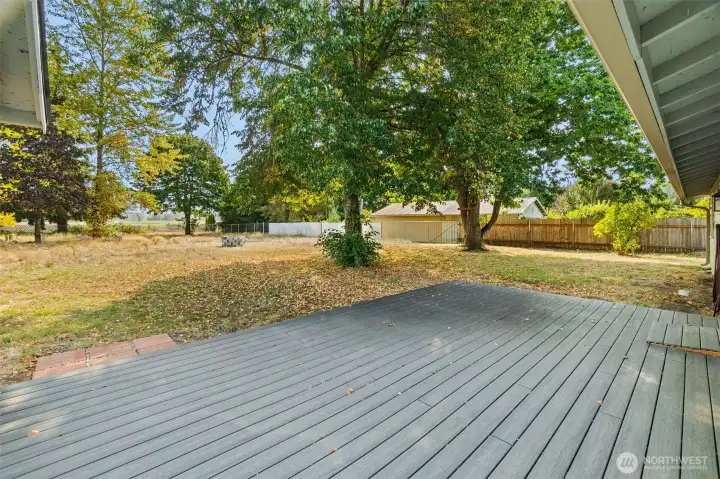 Take in distant Mt. Rainier views from the backyard.