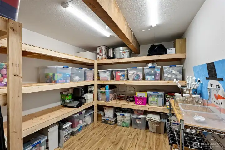 Lower level storage closet.