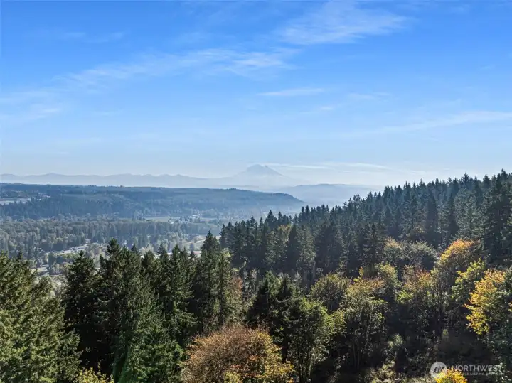 Drone Mt. Rainier view from home. Partial Mt. Rainier view can be seen through kitchen window in between the two houses across the cul-de-sac.