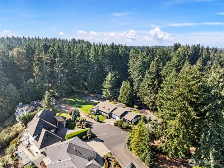Private cul-de-sac of established homesHome backs up to Pierce County Parks & Rec 100 Acre Woods that is filled with many walkable trails and where wildlife abounds.
