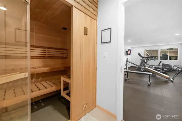 Newer Sauna