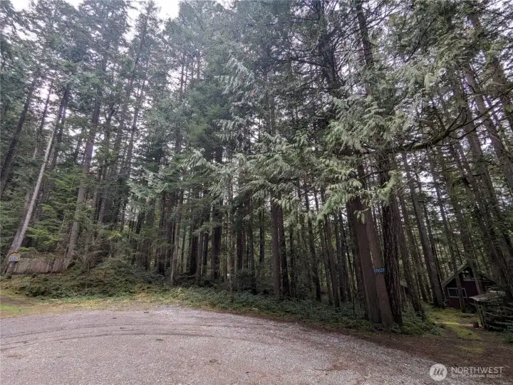 View of lot from street