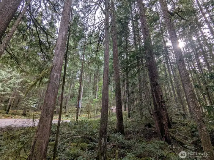 View of lot from side looking south
