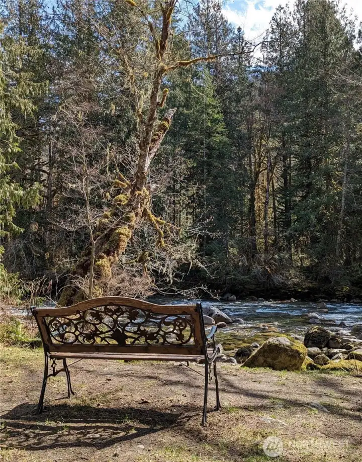 Calm moments on community park bench with beautiful nature stream