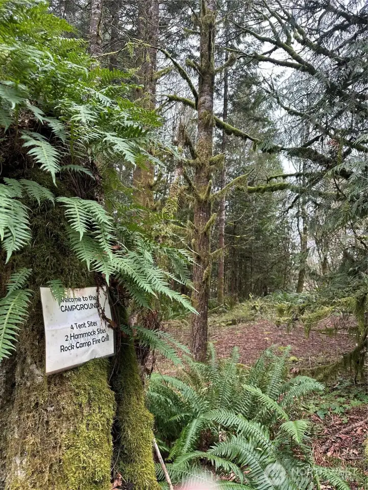 Campground entry, bring your friends