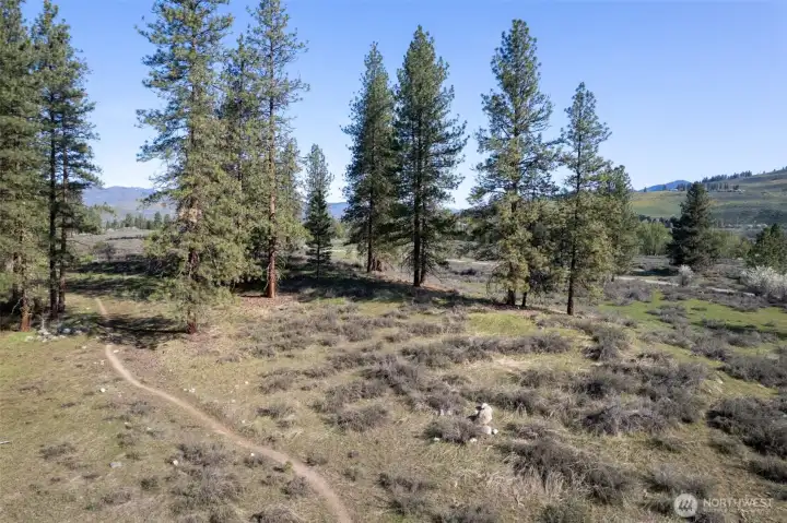 Outdoor adventure starts here with trail access directly on the property.