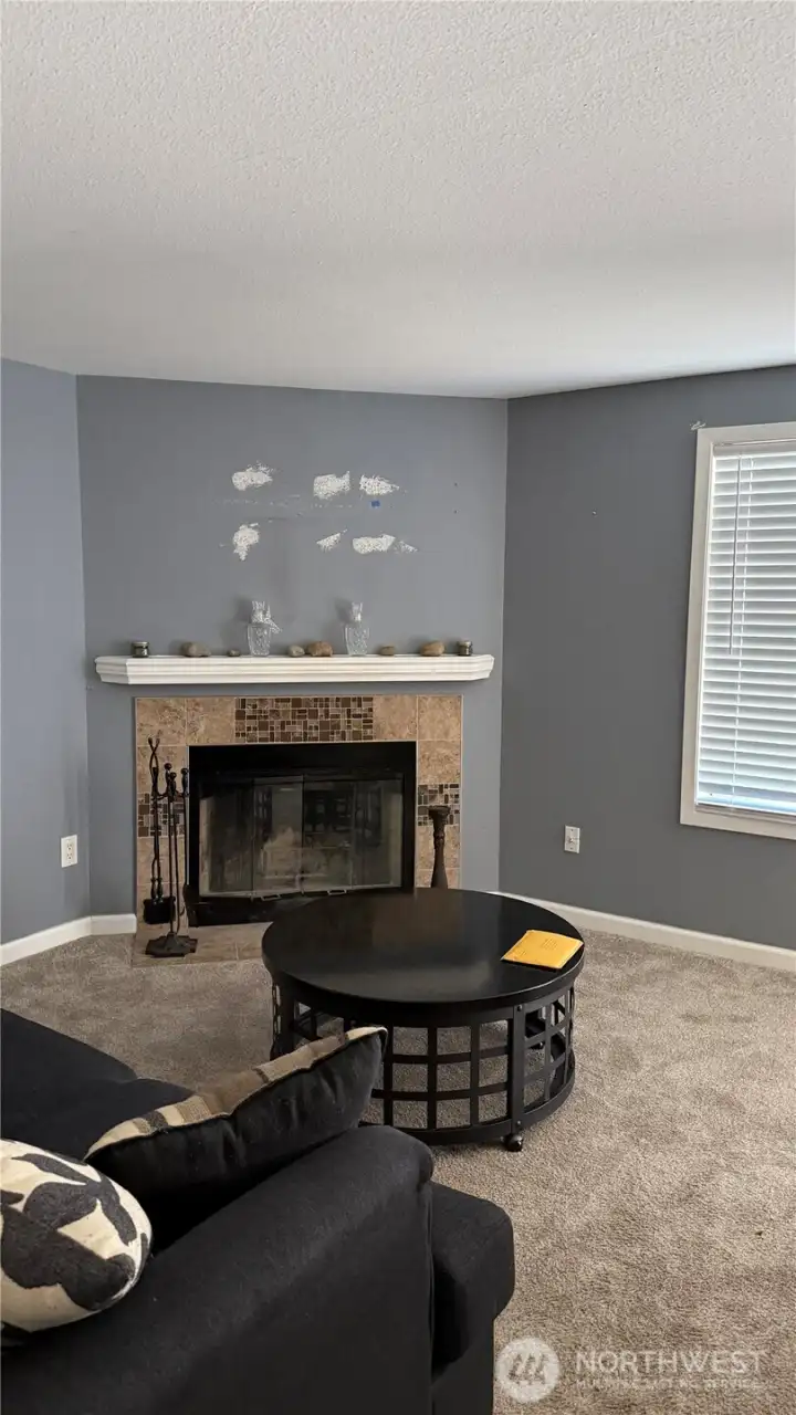 Wood burning fireplace