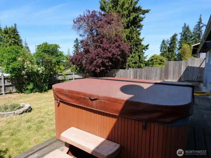 Hot Tub on Back Deck Hot Tub on Back Deck