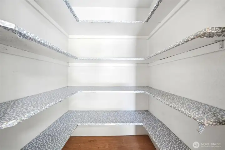 Handy pantry in kitchen.