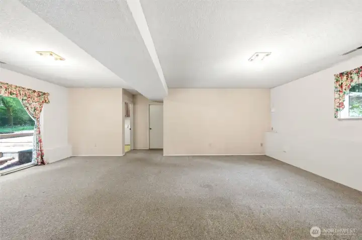Family room on lower level with slider going out to back yard.