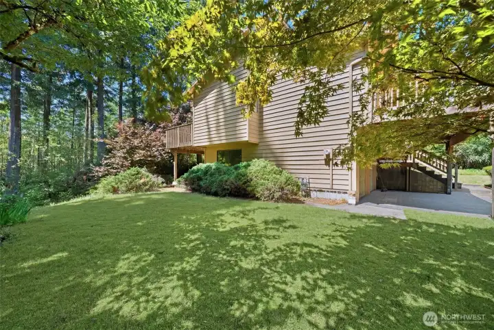 Here's the side yard.