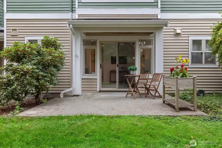 Back patio