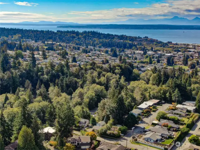 Edmonds has many beautiful parks-no doubt that we live in the beautiful Pacific Northwest.