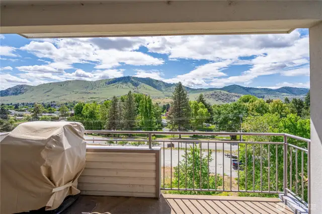 Enjoy the view from the deck overlooking the park