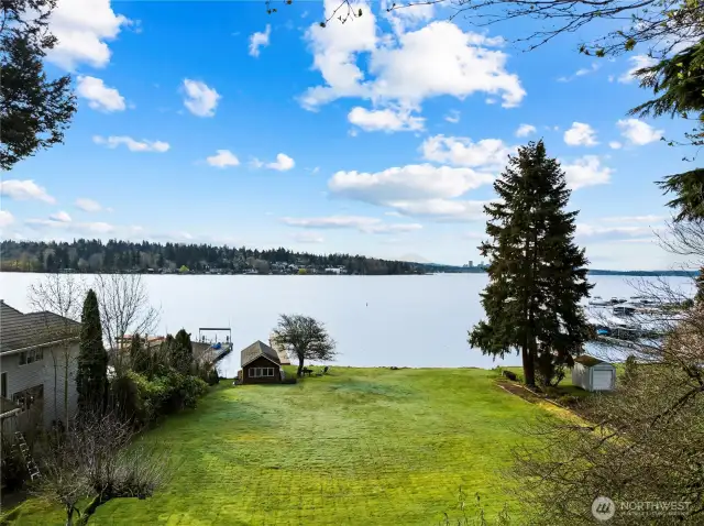 Huge, level lawn with mature plantings