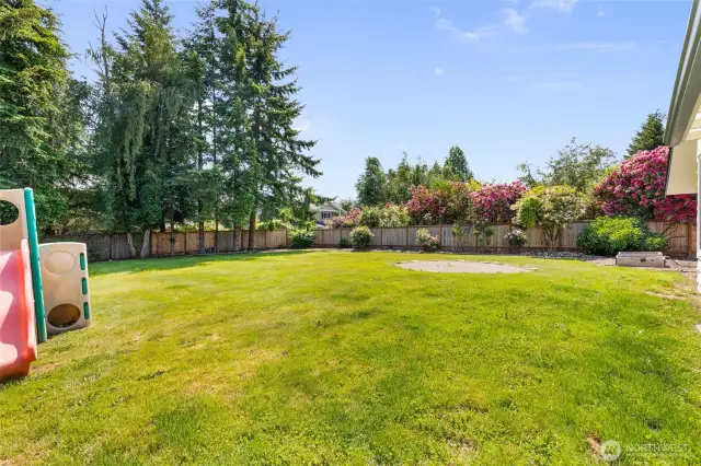 Large, flat back yard