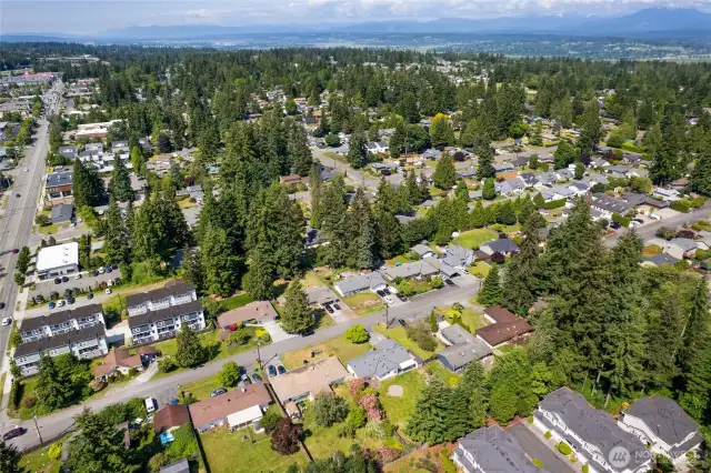 Aerial 3