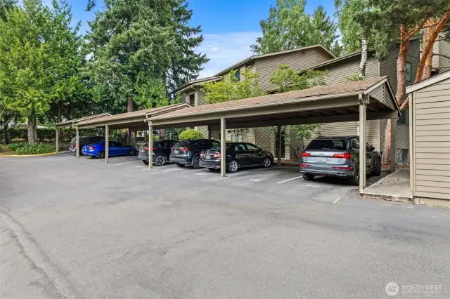 Carport in front of unit  space #69 is assigned to the unit.