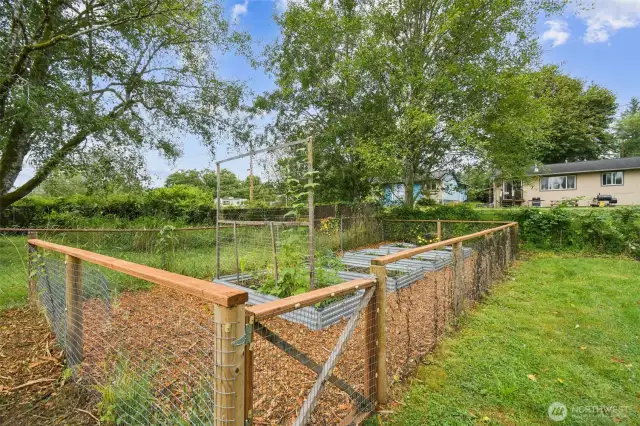 Garden area