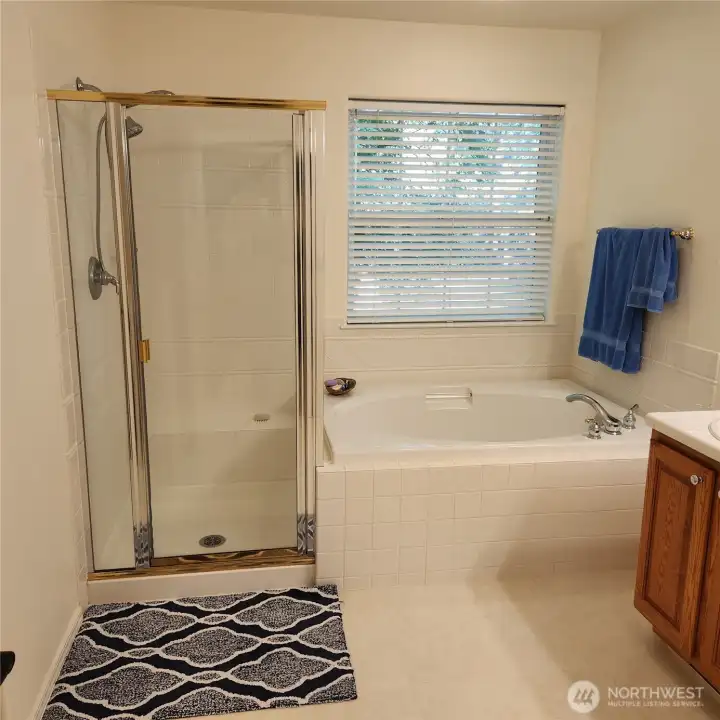 The bathroom has a large soaking tub and a separate step in shower with a stationary and long nozzle head.