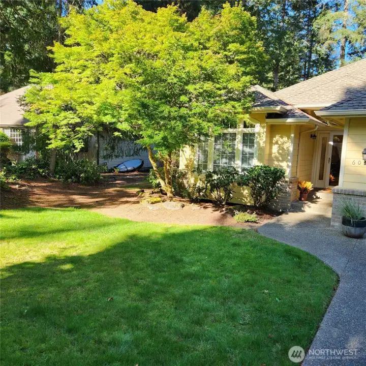 A small lawn infront for you to practice your lawn cutting skills without getting too tired.