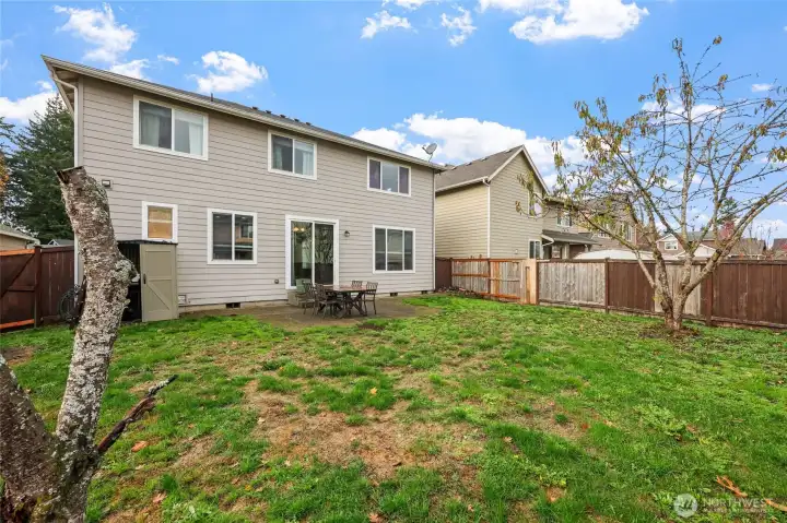 Backyard offers shade tree and room to play.