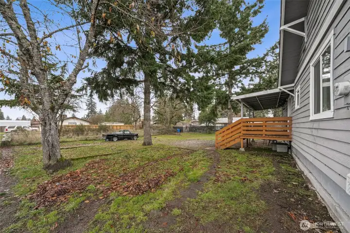 Lot line at tree