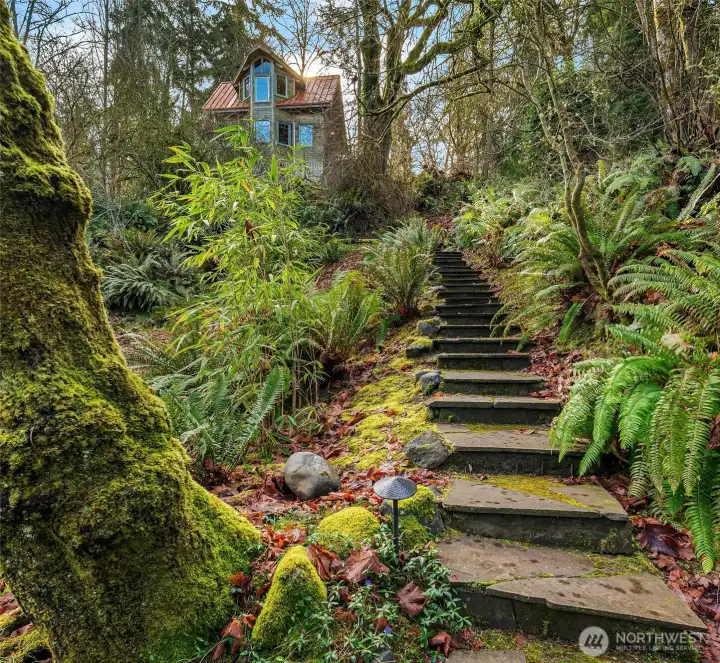 Gorgeous stone steps lead up to your personal island retreat!