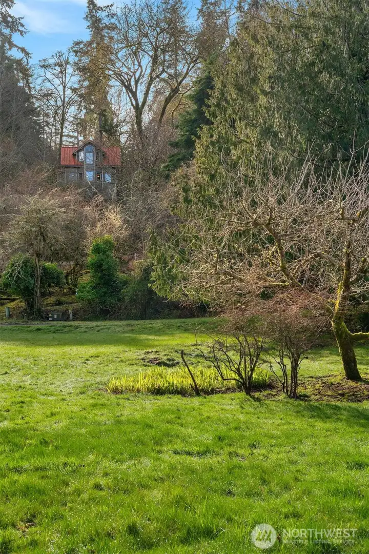 Community meadow is a magical spot for barbecues and games in the summer.