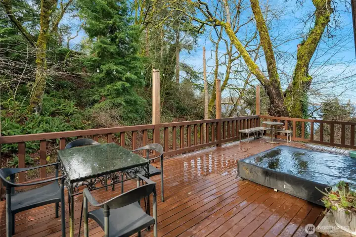 Big deck with sleeping platform for sleeping under the stars and lots of room for entertaining.