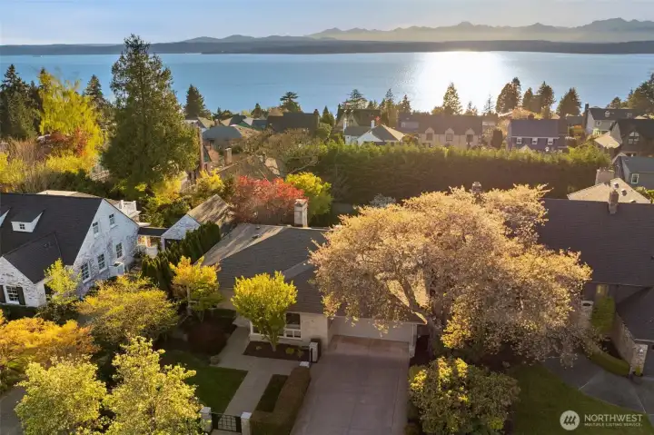 Incredibly Briarcliff location in Magnolia.