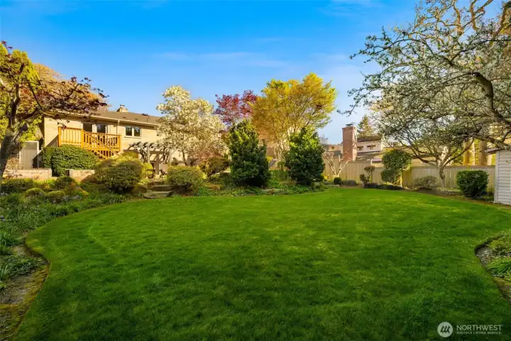 Large level grassy area, great for games, or simply enjoying.