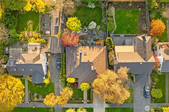 Incredibly 8609 sqft lot.