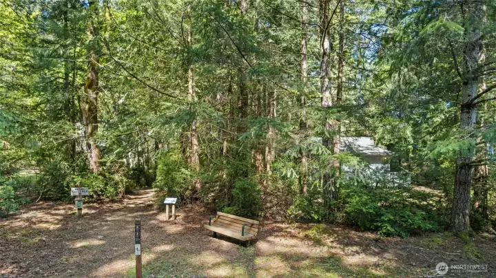 Trail head next to property