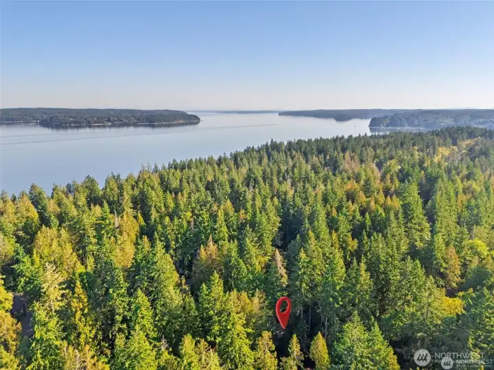Aerial view with home's location