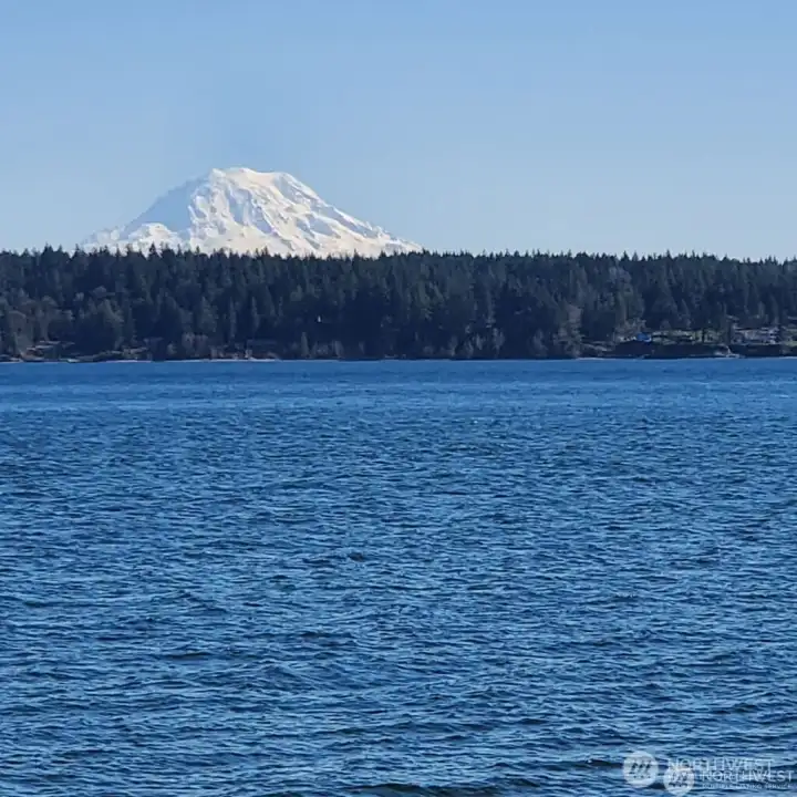 Mt. Rainier from beach